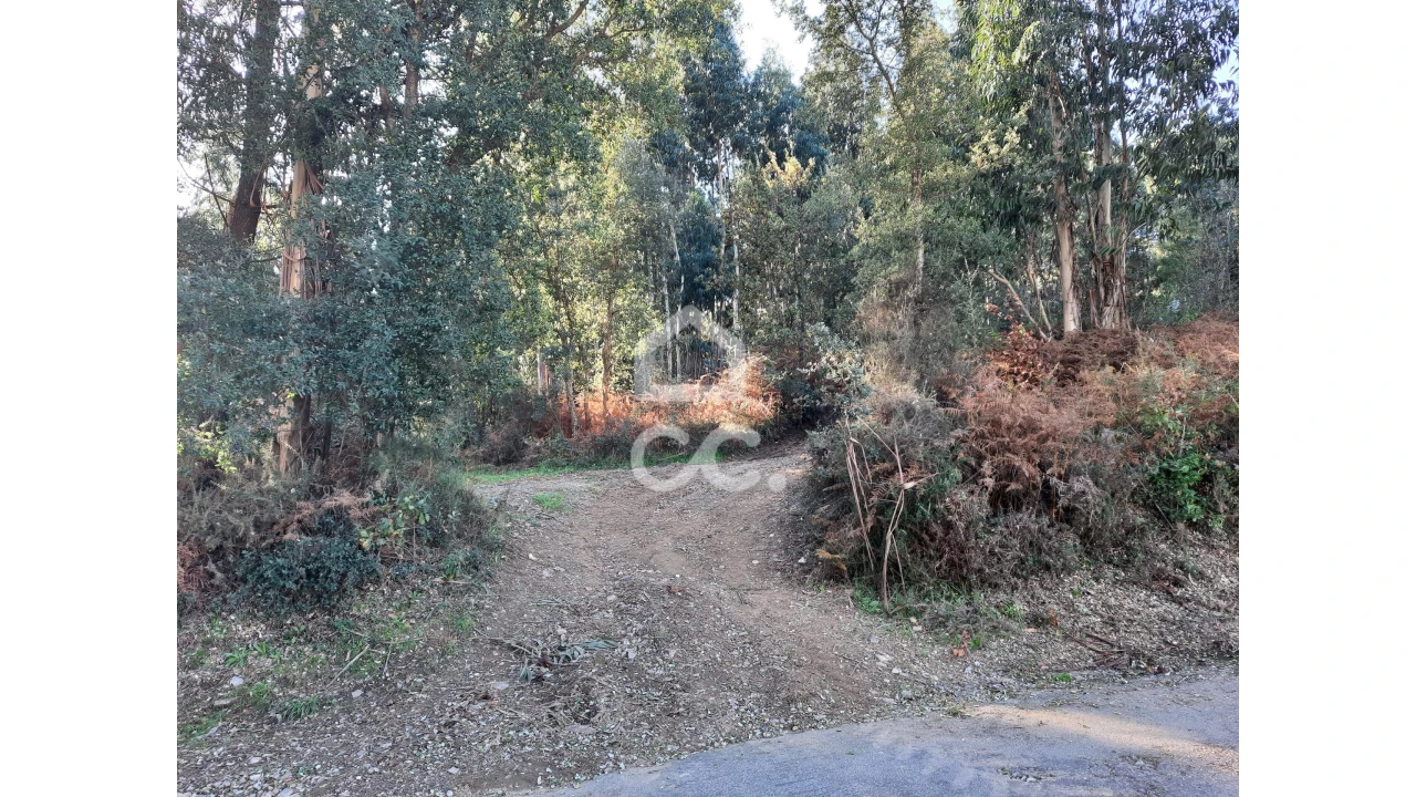Terreno para Venda em Cernadelo e Lousada (São Miguel e Santa Margarida) Foto 16