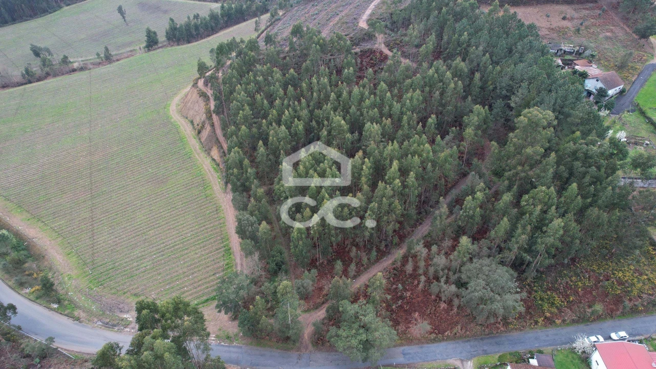 Terreno para Venda em Cernadelo e Lousada (São Miguel e Santa Margarida) Foto 24