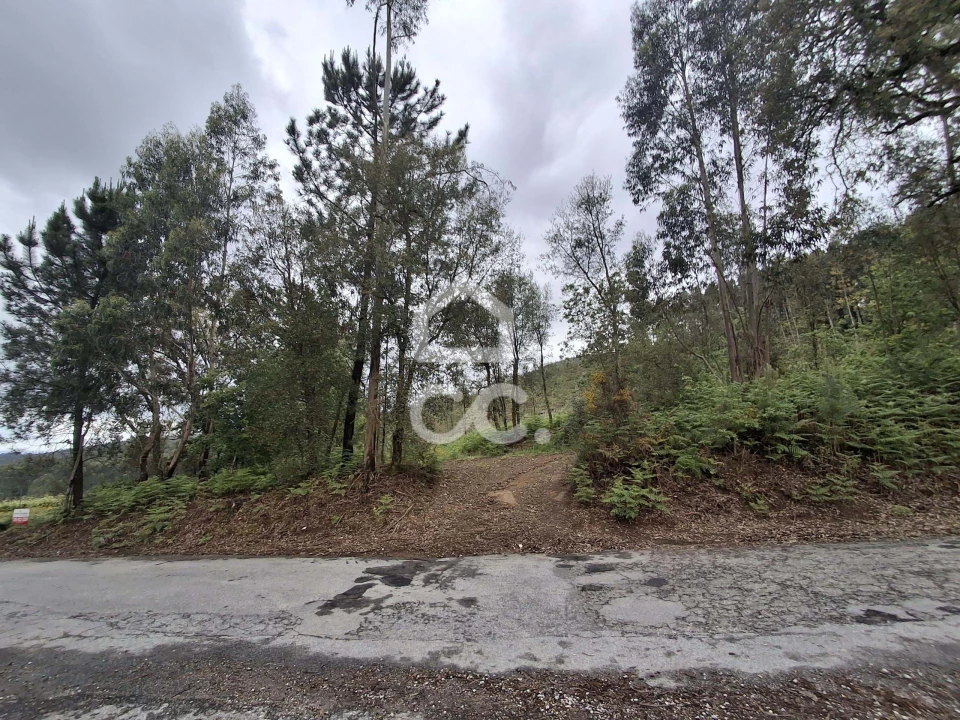 Terreno para Venda em Cernadelo e Lousada (São Miguel e Santa Margarida) Foto 34