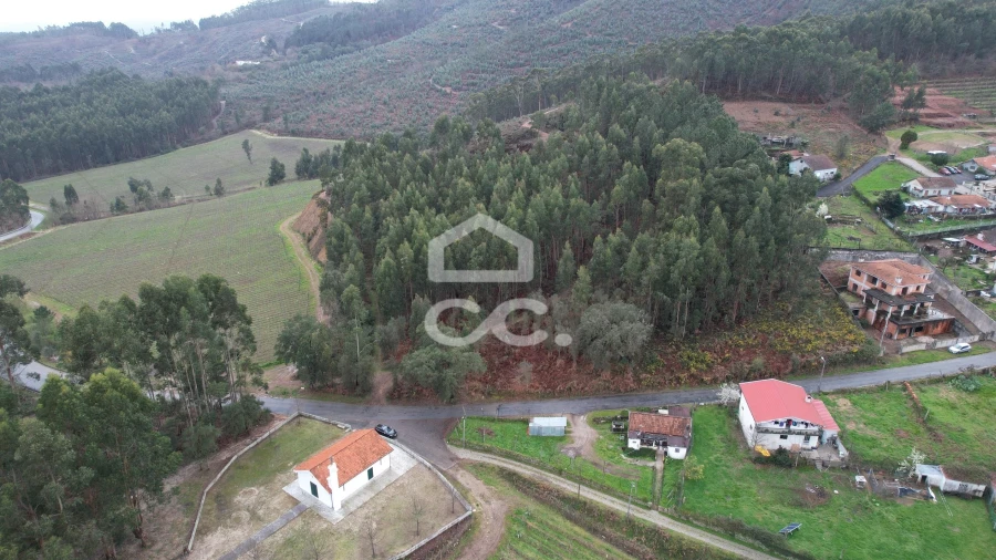 Terreno para Venda em Cernadelo e Lousada (São Miguel e Santa Margarida)