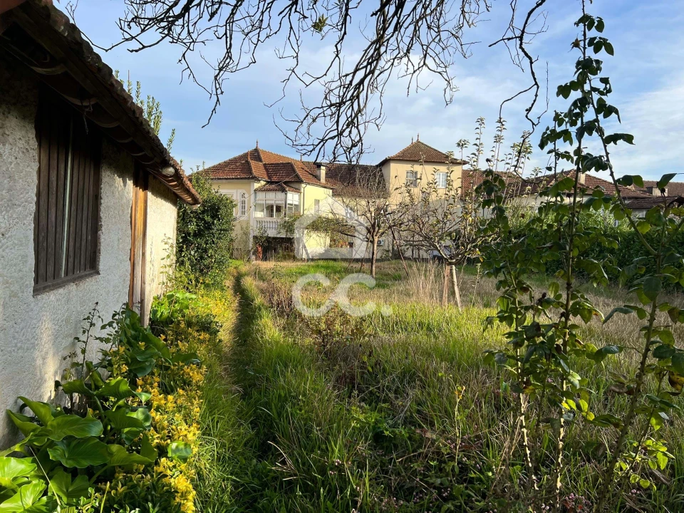 Moradia T6 para Venda em Silvares, Pias, Nogueira e Alvarenga Foto 43