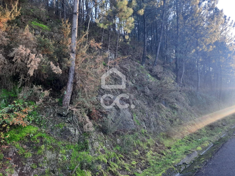 Terreno para Venda em Nespereira e Casais Foto 18