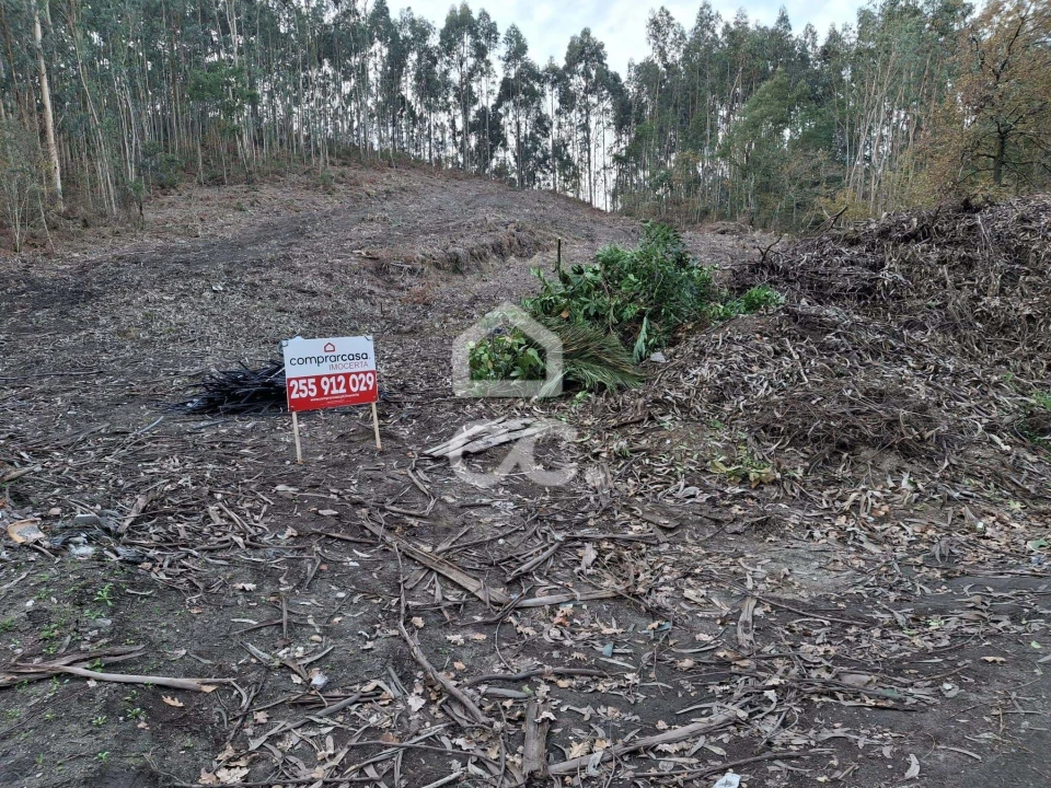 Terreno para Venda em Nespereira e Casais Foto 2