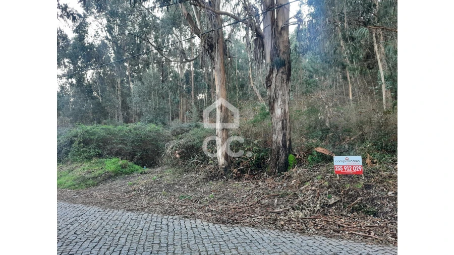 Terreno para Venda em Nespereira e Casais Foto 9