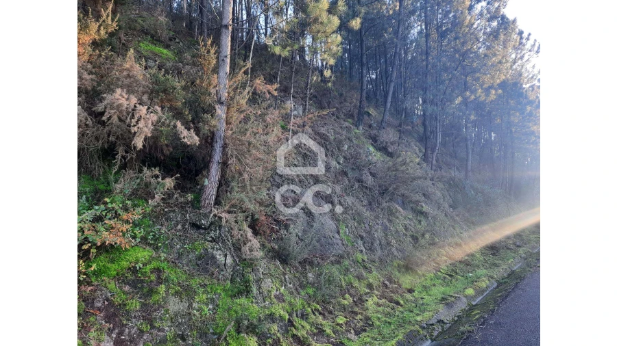 Terreno para Venda em Nespereira e Casais Foto 18