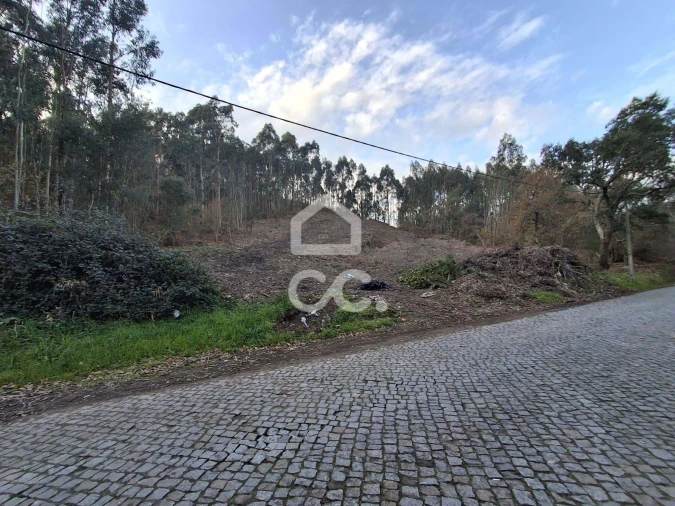 Terreno para Venda em Nespereira e Casais Foto 1