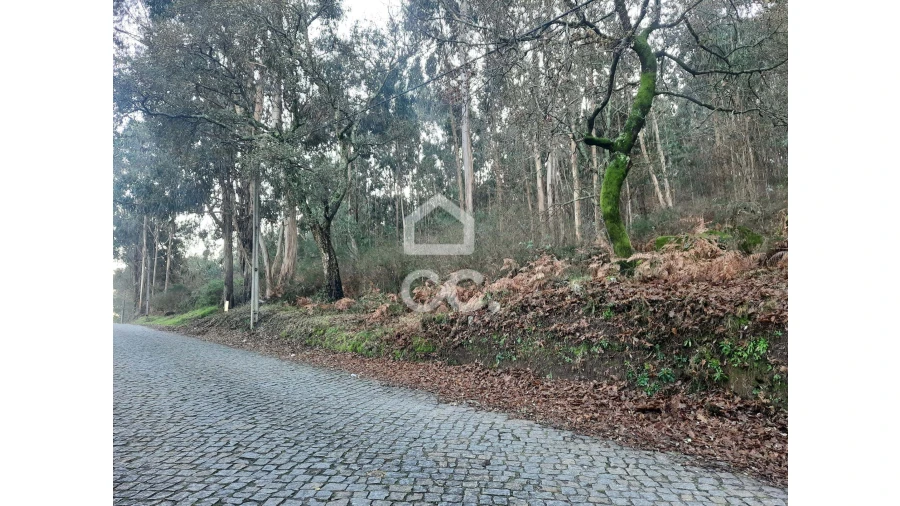 Terreno para Venda em Nespereira e Casais Foto 16