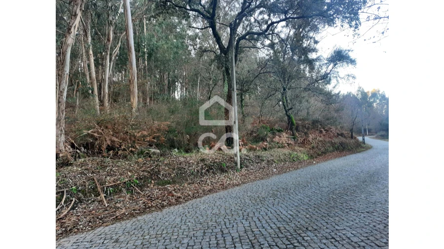 Terreno para Venda em Nespereira e Casais Foto 7