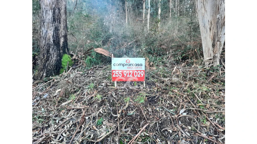 Terreno para Venda em Nespereira e Casais Foto 6
