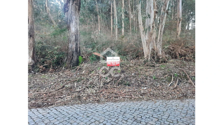 Terreno para Venda em Nespereira e Casais Foto 5