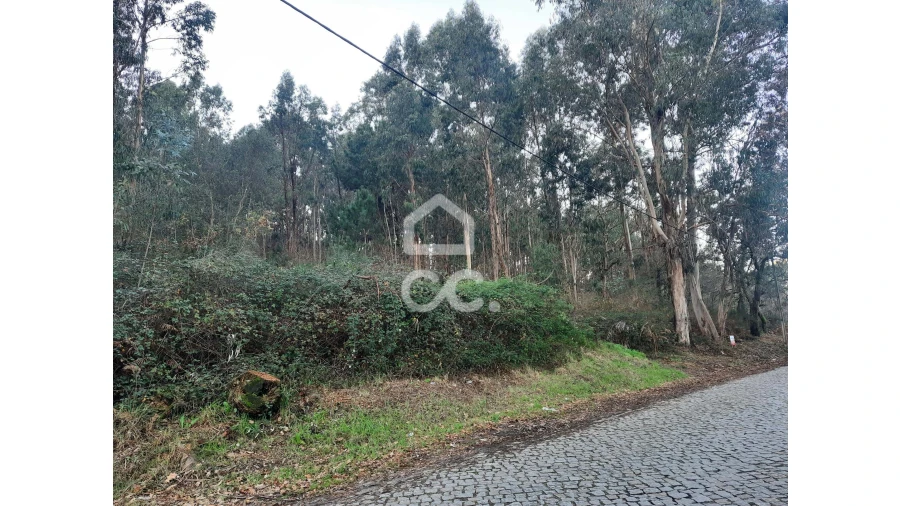 Terreno para Venda em Nespereira e Casais Foto 20