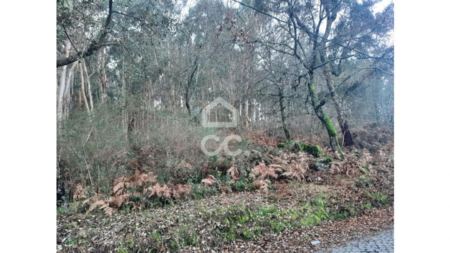 Terreno para Venda em Nespereira e Casais Foto 21