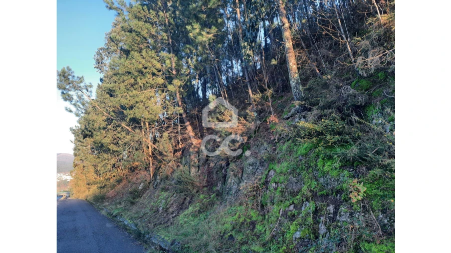 Terreno para Venda em Nespereira e Casais Foto 17