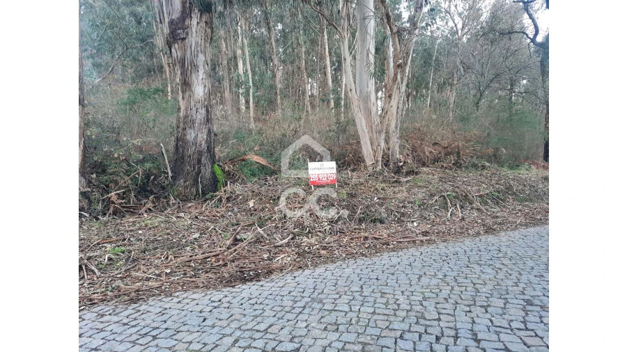 Terreno para Venda em Nespereira e Casais Foto 15