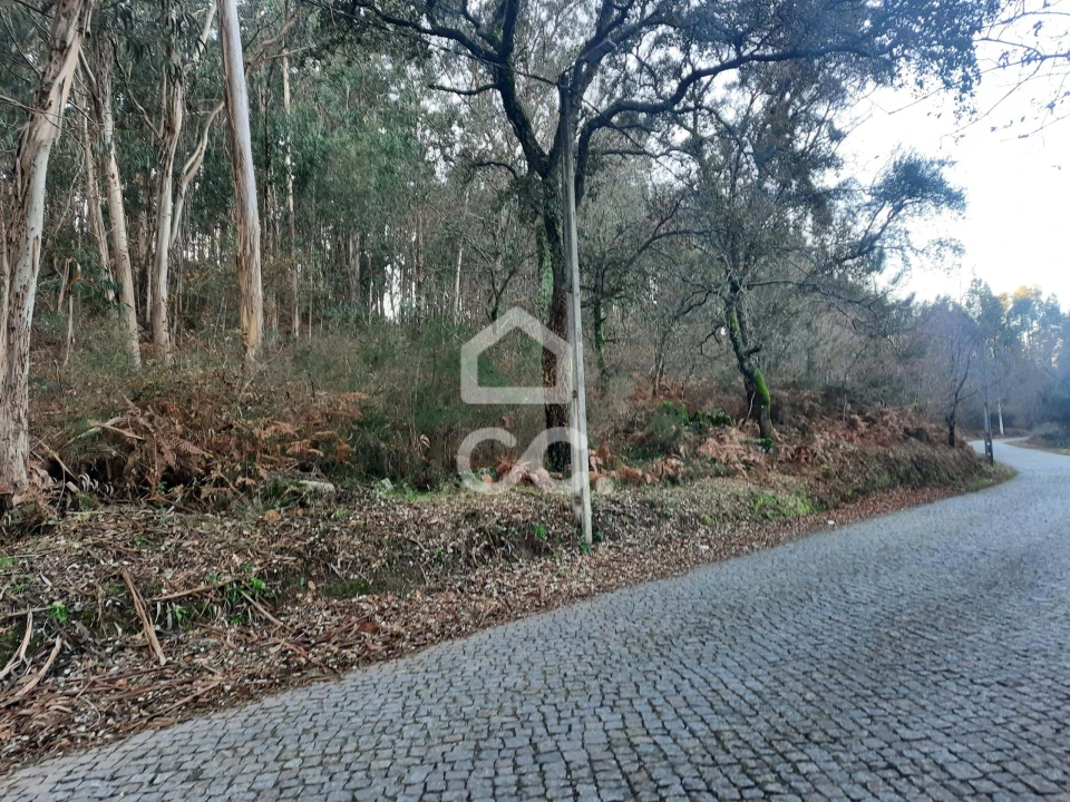 Terreno para Venda em Nespereira e Casais Foto 7