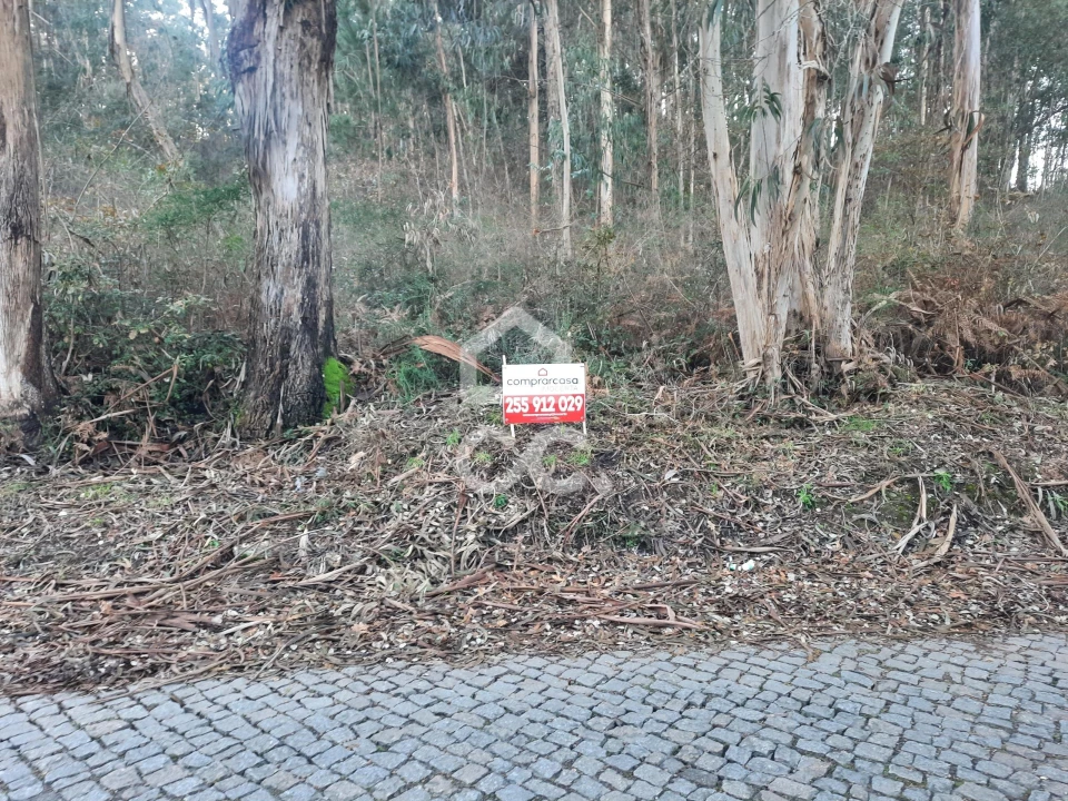 Terreno para Venda em Nespereira e Casais Foto 5