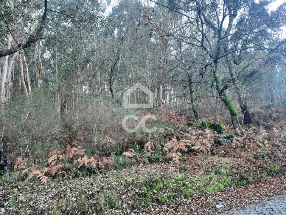 Terreno para Venda em Nespereira e Casais Foto 21