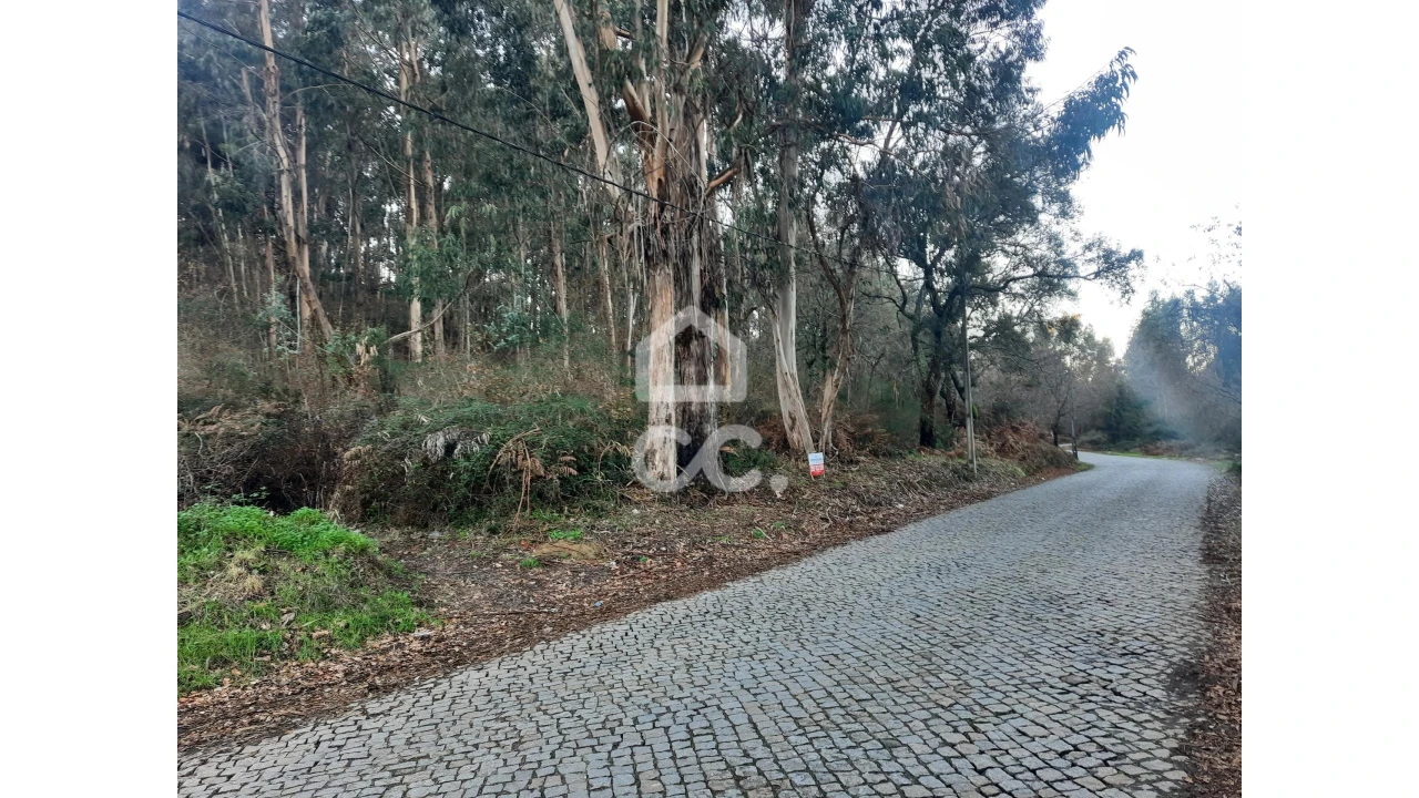 Terreno para Venda em Nespereira e Casais Foto 4