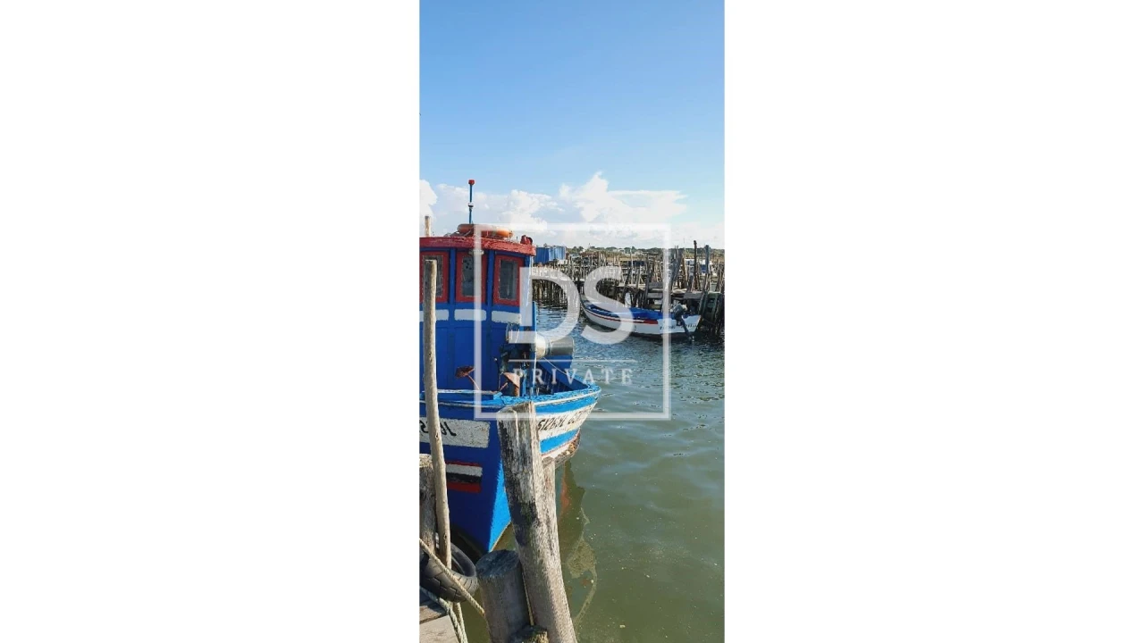 Negócio para Venda em Comporta Foto 14