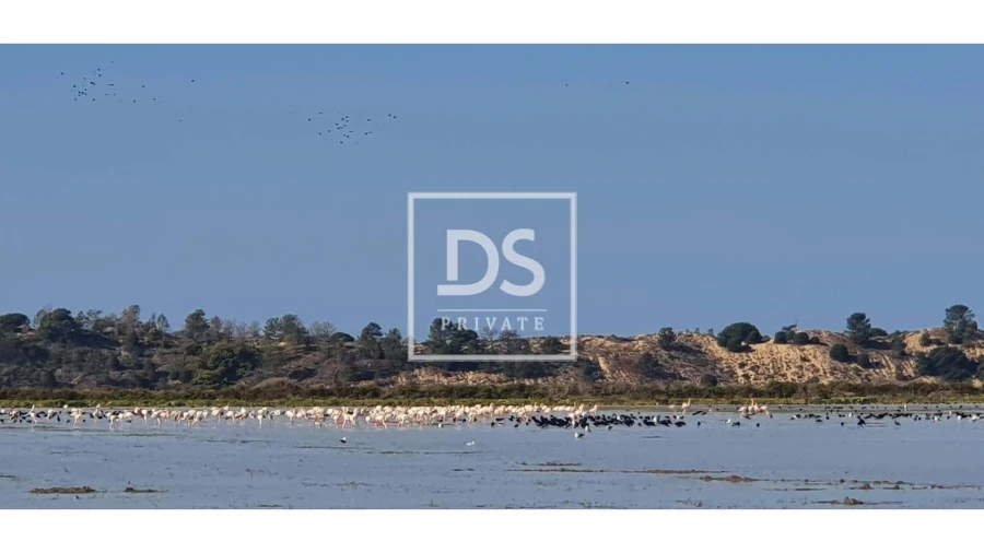 Negócio para Venda em Comporta Foto 8