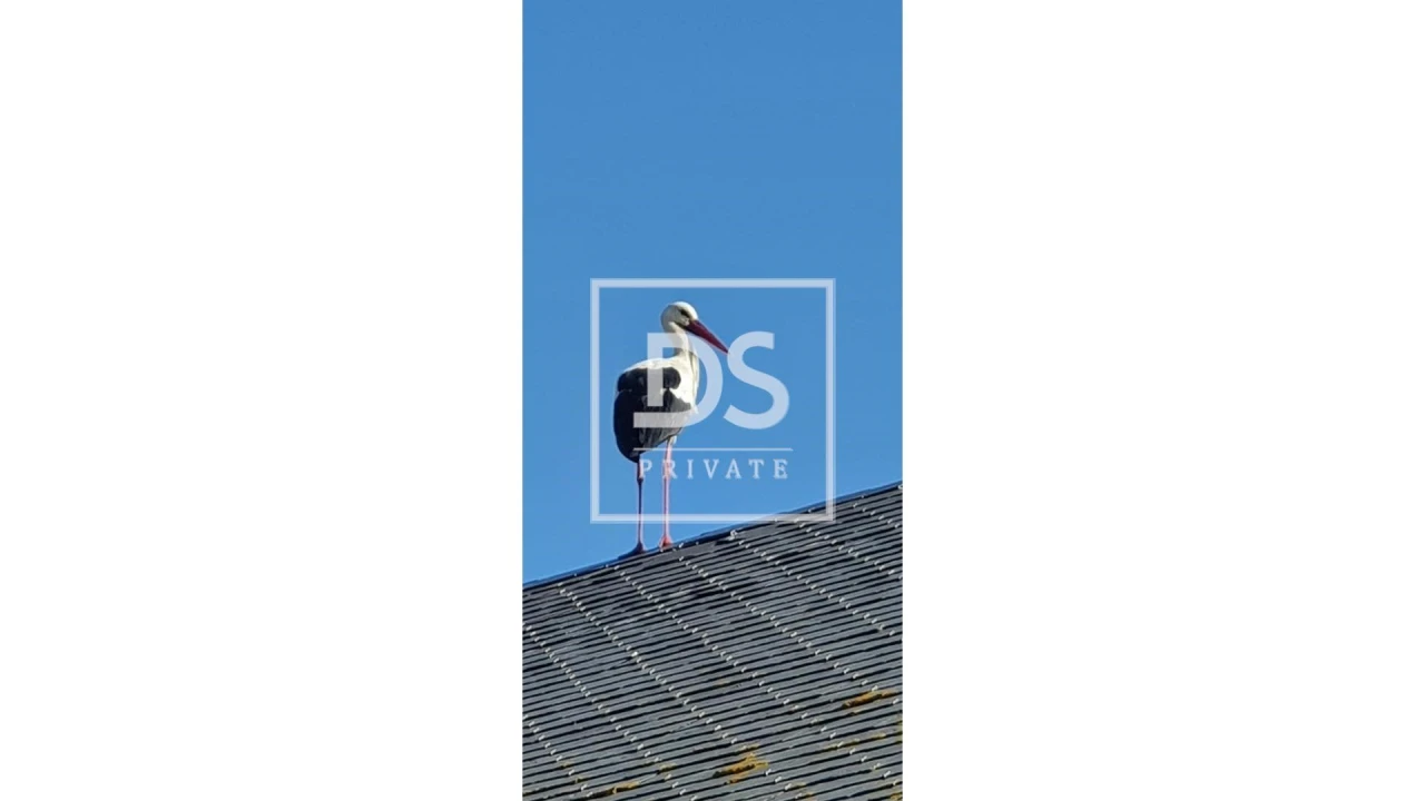 Negócio para Venda em Comporta Foto 9