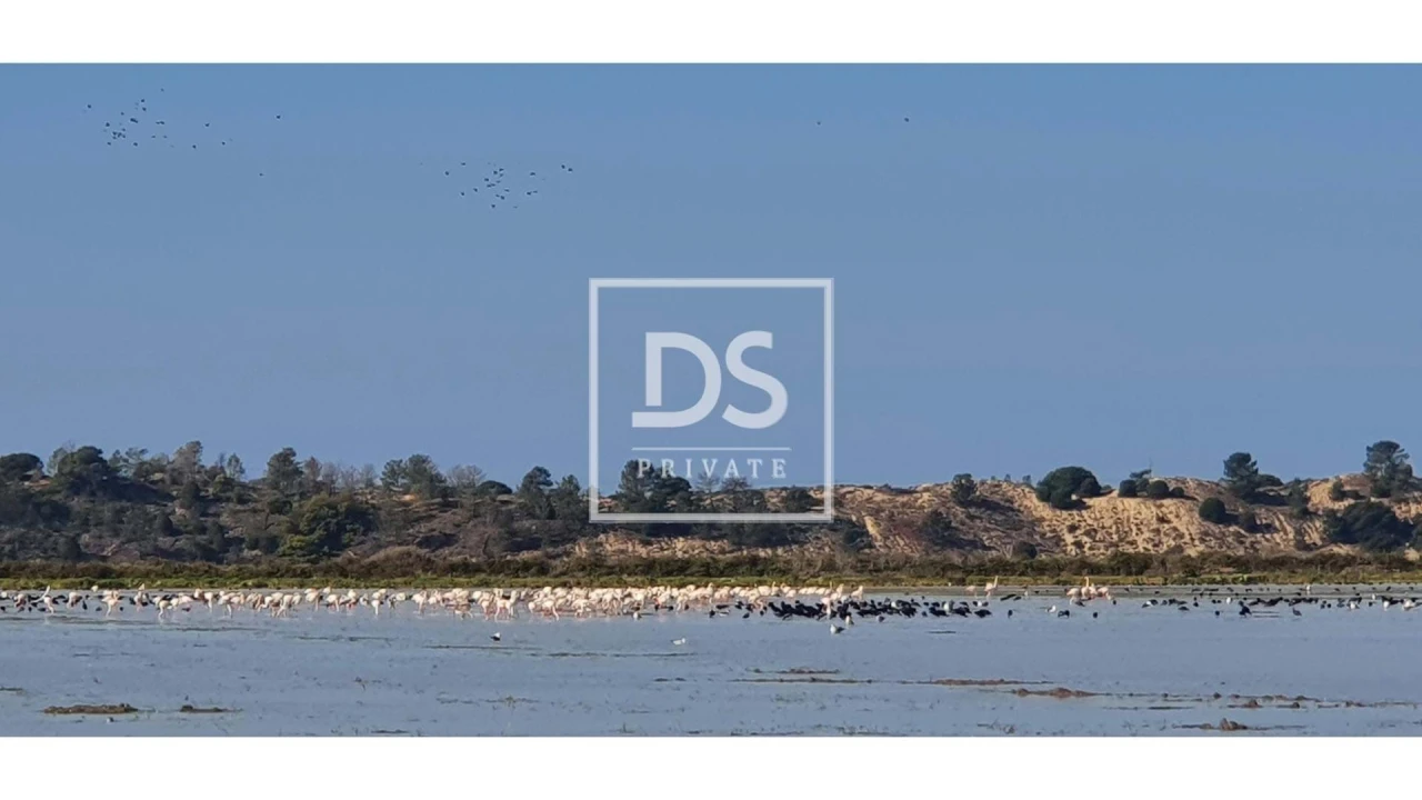 Negócio para Venda em Comporta Foto 8