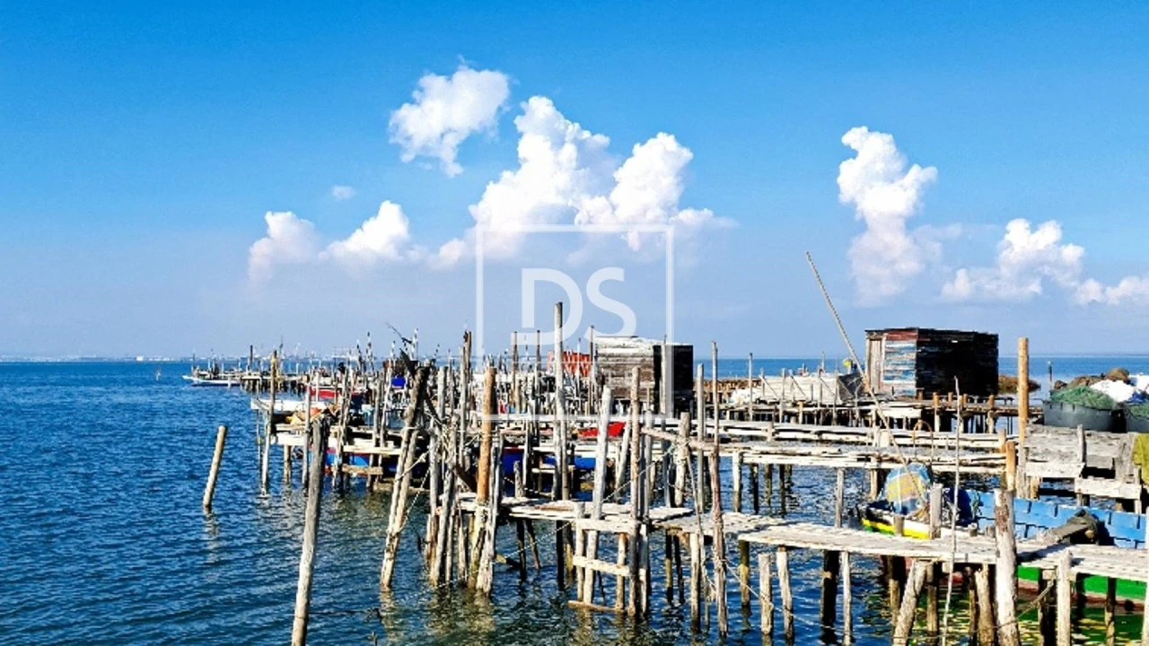 Negócio para Venda em Comporta Foto 10