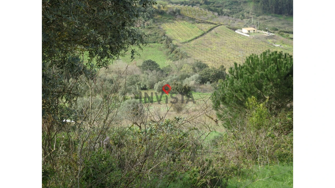 Terreno para Venda em Cardosas Foto 7