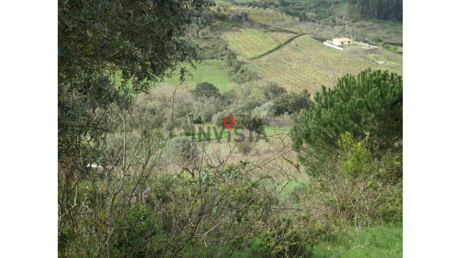 Terreno para Venda em Cardosas Foto 7