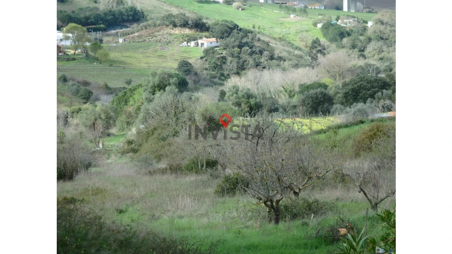 Terreno para Venda em Cardosas Foto 12