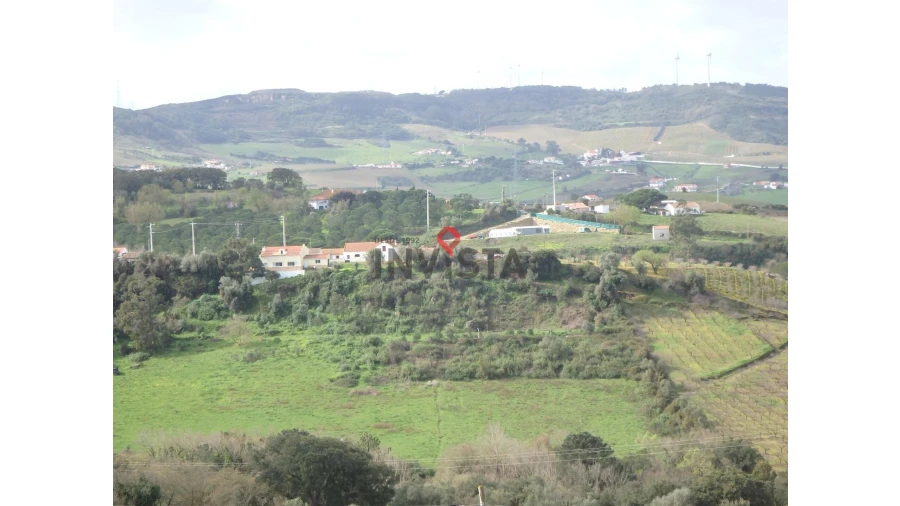 Terreno para Venda em Cardosas Foto 2
