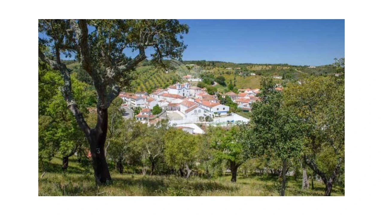 Terreno para Venda em São Martinho das Amoreiras Foto 9