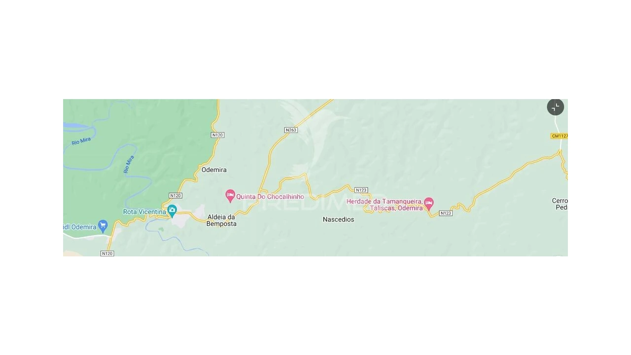 Terreno para Venda em São Martinho das Amoreiras Foto 3