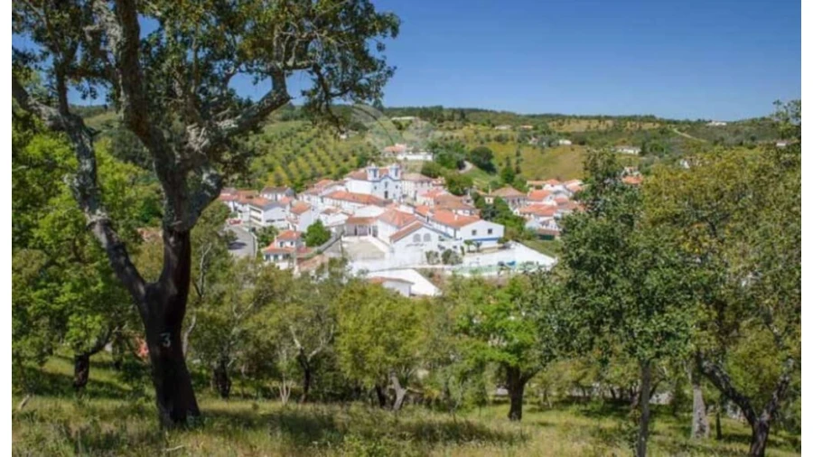 Terreno para Venda em São Martinho das Amoreiras Foto 9