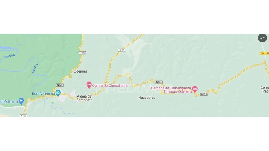 Terreno para Venda em São Martinho das Amoreiras Foto 3