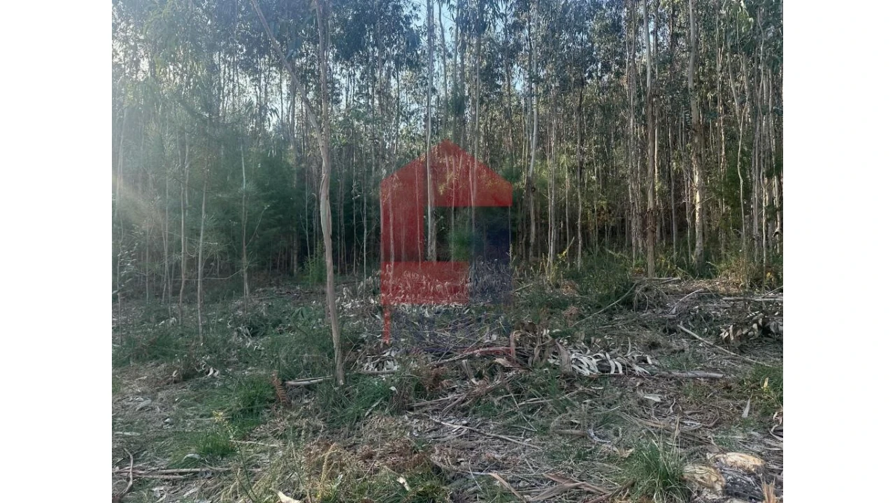 Terreno para Venda em Pico de Regalados, Gondiães e Mós Foto 16