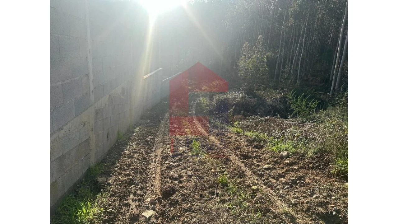 Terreno para Venda em Pico de Regalados, Gondiães e Mós Foto 7