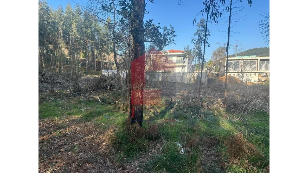 Terreno para Venda em Pico de Regalados, Gondiães e Mós Foto 14