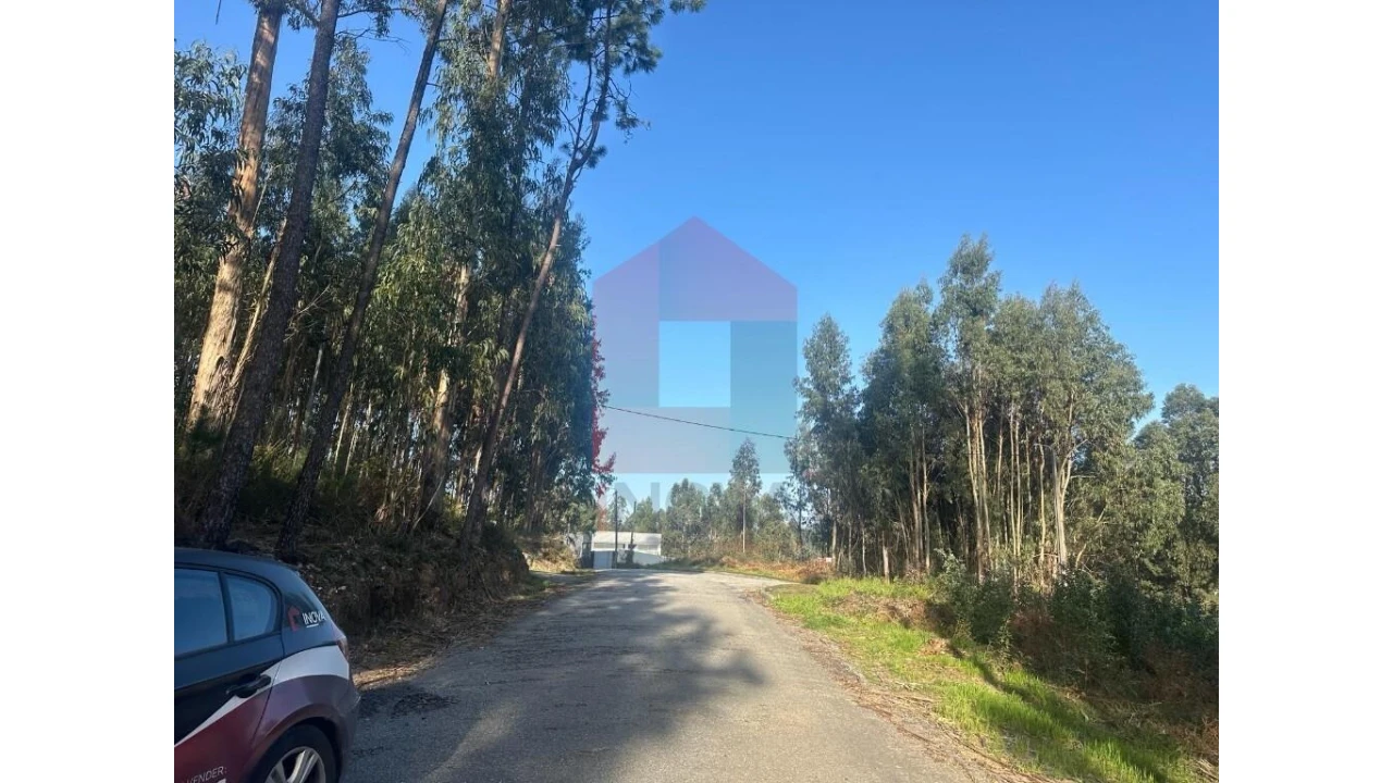 Terreno para Venda em Pico de Regalados, Gondiães e Mós Foto 4