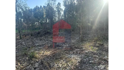 Terreno para Venda em Pico de Regalados, Gondiães e Mós