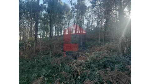 Terreno para Venda em Pico de Regalados, Gondiães e Mós