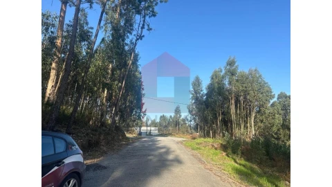 Terreno para Venda em Pico de Regalados, Gondiães e Mós