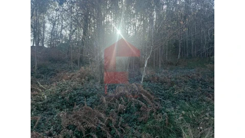 Terreno para Venda em Pico de Regalados, Gondiães e Mós
