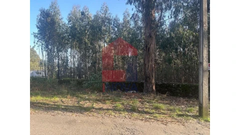 Terreno para Venda em Pico de Regalados, Gondiães e Mós