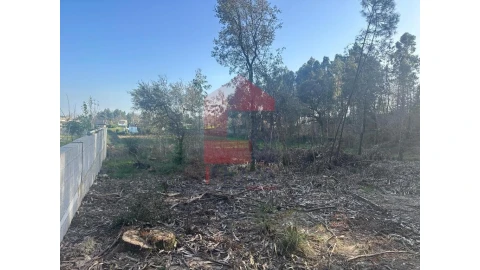 Terreno para Venda em Pico de Regalados, Gondiães e Mós