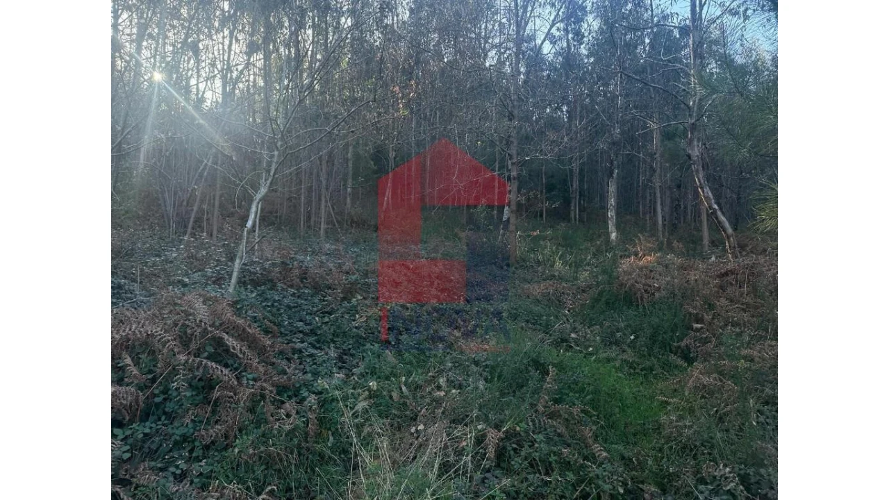 Terreno para Venda em Pico de Regalados, Gondiães e Mós Foto 15