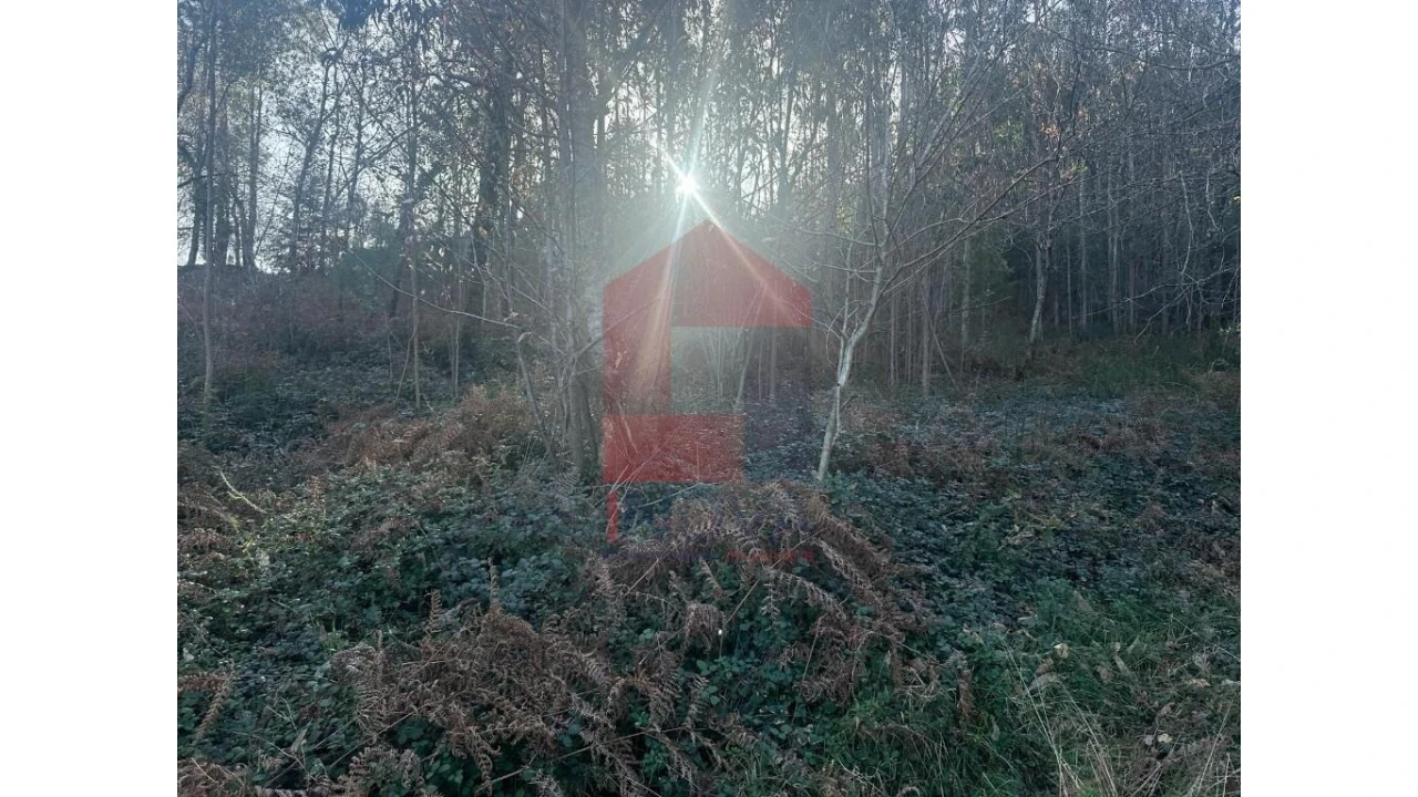 Terreno para Venda em Pico de Regalados, Gondiães e Mós Foto 18