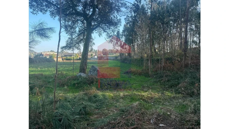 Terreno para Venda em Pico de Regalados, Gondiães e Mós Foto 12