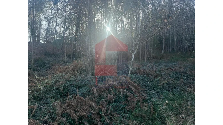 Terreno para Venda em Pico de Regalados, Gondiães e Mós Foto 18