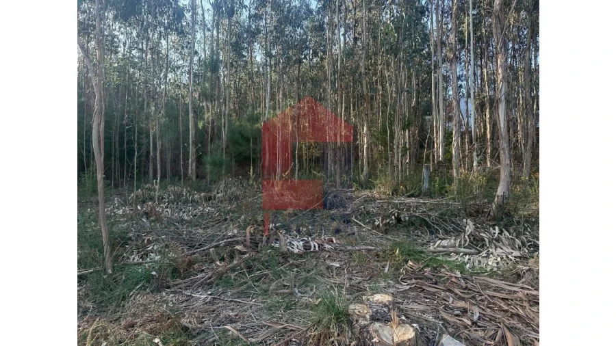 Terreno para Venda em Pico de Regalados, Gondiães e Mós Foto 11